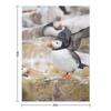 Atlantic Puffin Photography Throw Blanket Warm Travel Decorative Sofa Sofa Throw Blankets