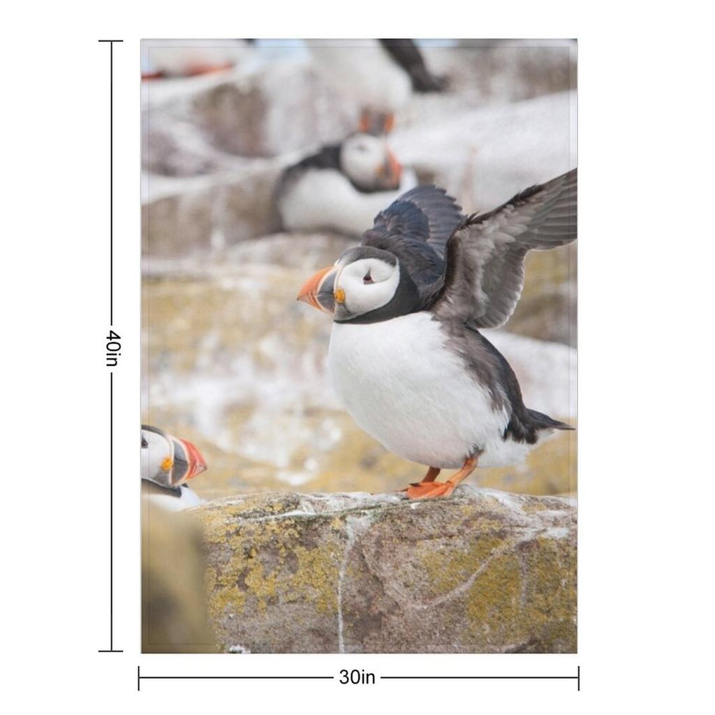 Atlantic Puffin Photography Throw Blanket Warm Travel Decorative Sofa Sofa Throw Blankets
