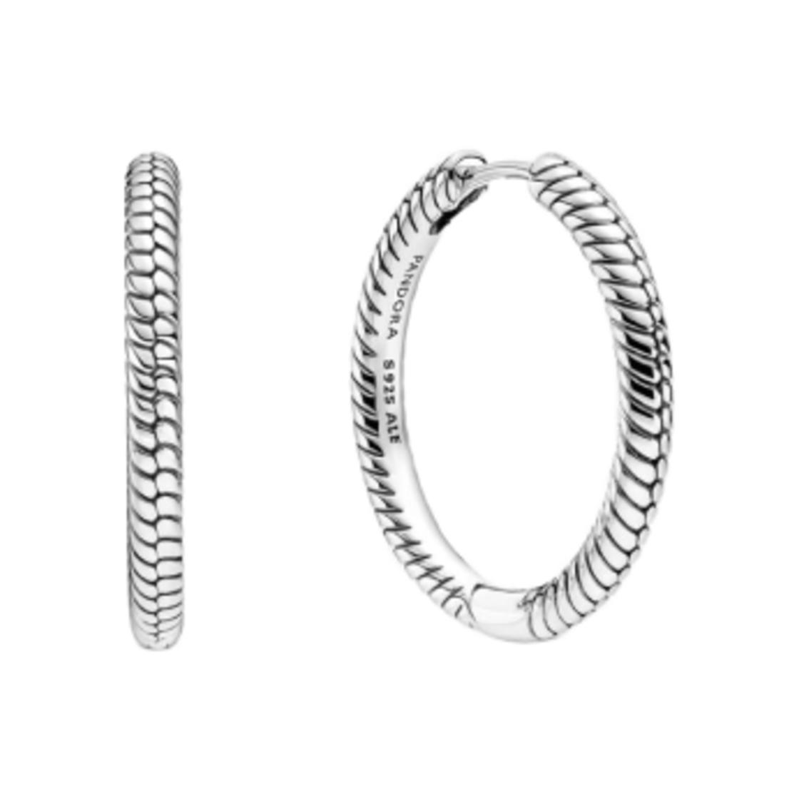 (W) Pandora Moments Charm Hoop Earrings