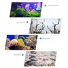5Pcs Driftwood Fish Tank Landscaping Moss Glue Instant Water Grass Stick Fixing Glue  Aquarium