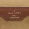 LOUIS VUITTON M57835 Monogram papillon trunk2WAY bag Monogram canvas Array