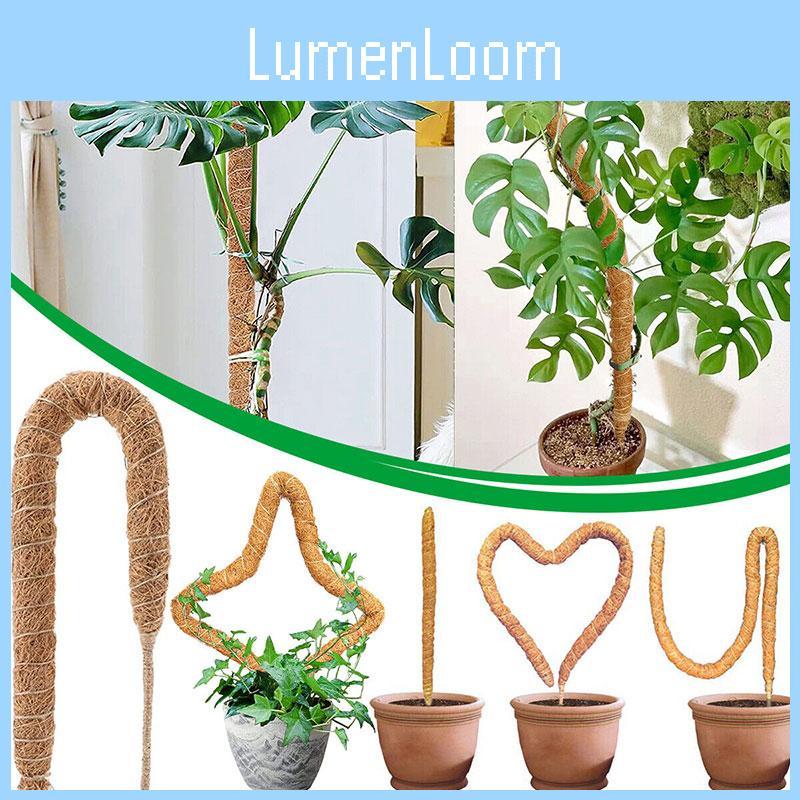 Premium Quality Coconut Shell Plant Climbing Pole 60-120cm Length