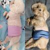 KUVEELA PET Hunde-Manieren Windelüberzug für Rüden für und Geeignet für Hitzezeit Gürtel, Hunde, Atmungsaktiv, Saugfähig, Wiederverwendbar, Spaziergänge, Ausflüge, Innenbereich,