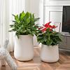 Nordic Creative Self-Watering Large Round Rattan Style Indoor Flower Pot for Green Plants