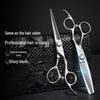 Professional Stainless Steel Hairdressing Scissors Set