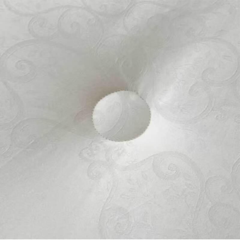 Premium Cashmere Protein Jacquard Winter Quilt