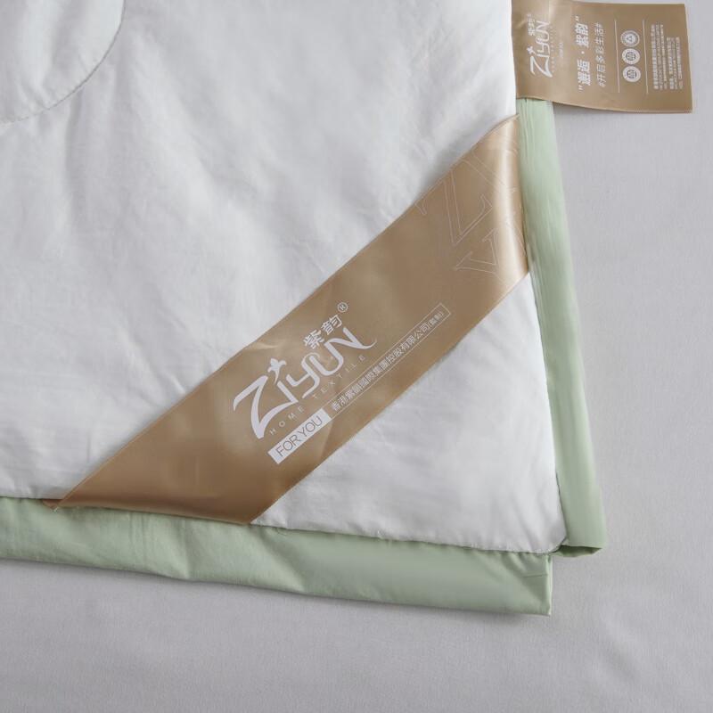 Tea Polyphenol Antibacterial Summer Quilt