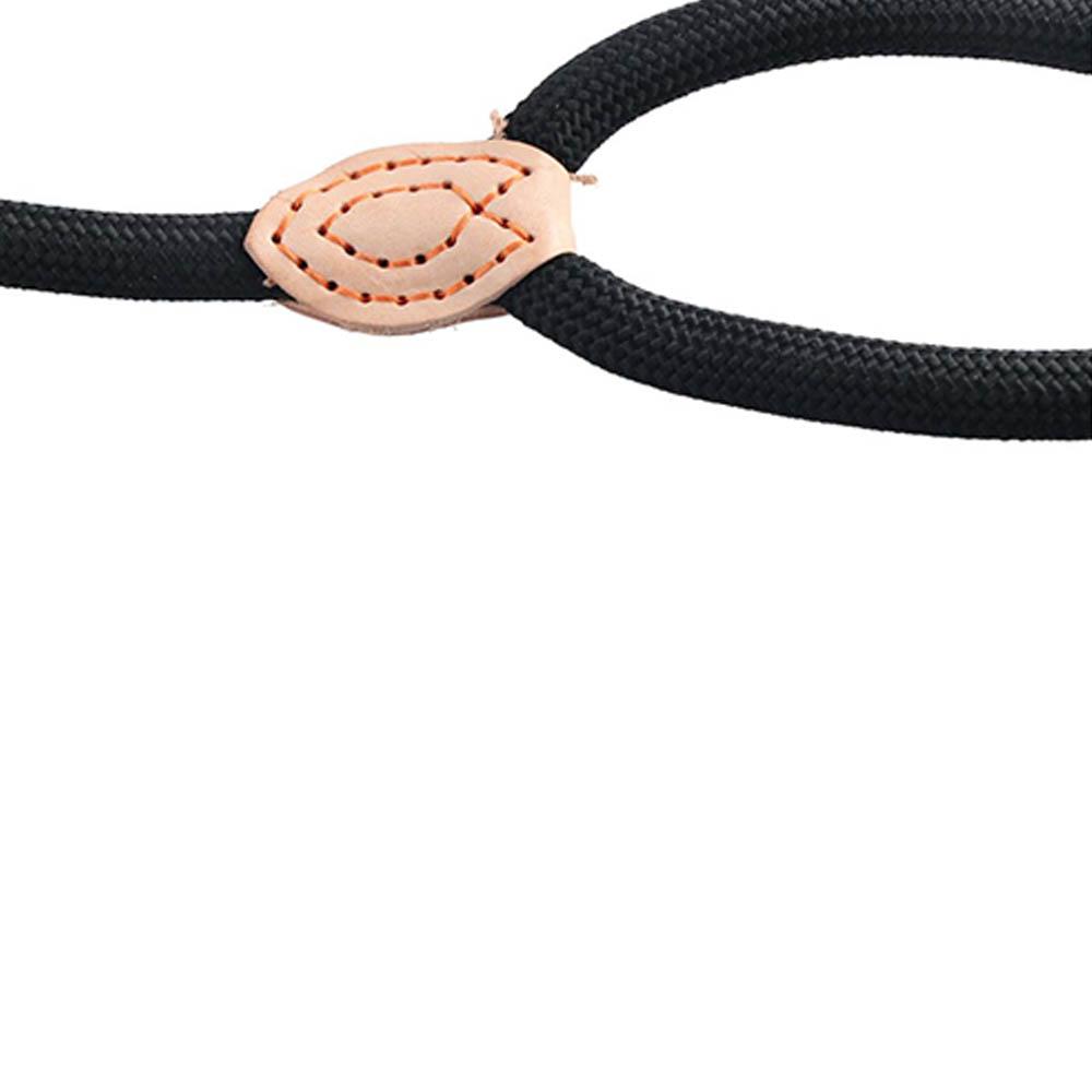 Strong Adjustable Puppy Rope Nylon Solid Color Lightweight Dog Leash Dog Training Supplies Pet Leads Belt Dogs Harness