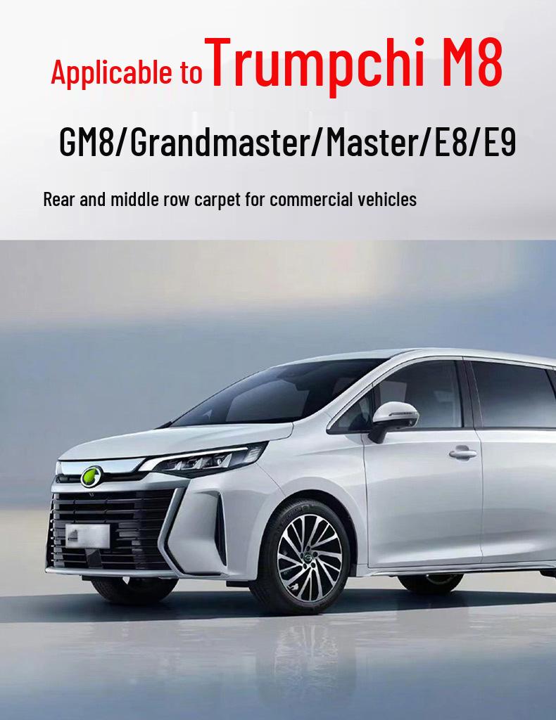 Floor Mats for Trumpchi E8 & M8: Middle Row, Imitation Cashmere, Commercial Vehicle Mats
