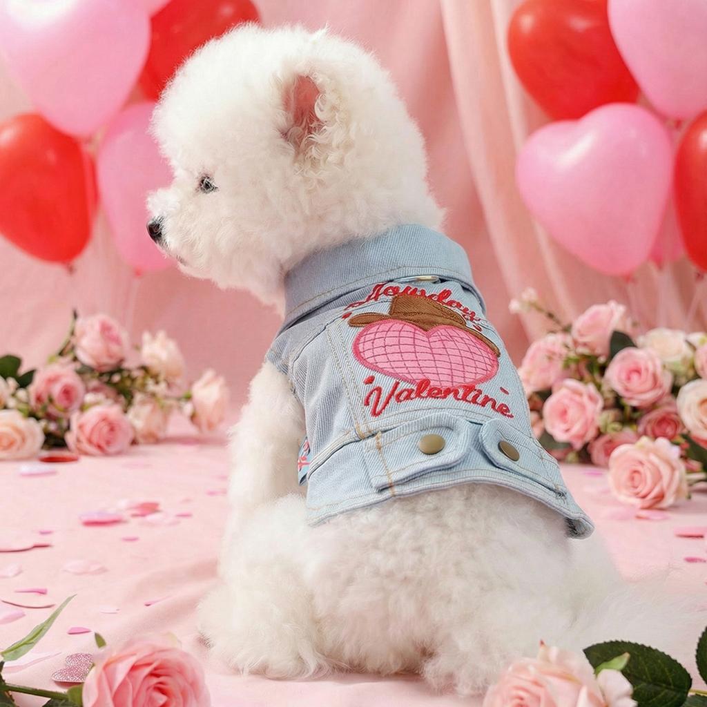 Pet circle, dog small dog clothes, cat clothing, autumn and winter Valentine's Day love collection