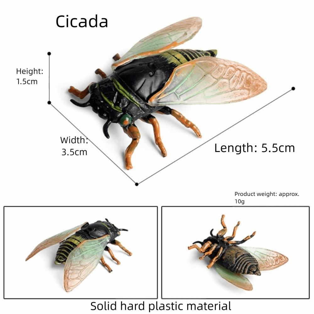 New Simulation Insect Model Figures Plastic Spider Bee Education Toy Dragonfly Cicada Animals Model Set Horror Props