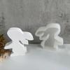 Silicone Hydroponic Flower Vase Mold 3D Easter Rabbit Decoration Molds for Home