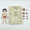 Cognition Easy To Assemble Fun Smooth Surface Boys Girls Anatomy Play Set Wooden Jigsaw Board Puzzle