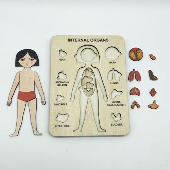 Cognition Easy To Assemble Fun Smooth Surface Boys Girls Anatomy Play Set Wooden Jigsaw Board Puzzle
