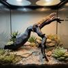 Simulation Reptile Tree Trunk 3D Imitation Hermit Crab Climbing Toy  Terrarium Accessories