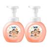 Lion QuJing Foaming Antibacterial Hand Wash