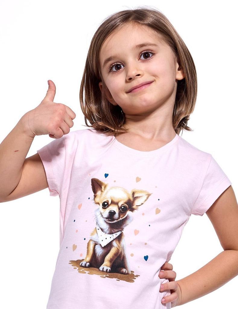 Koszula Cornette Kids Girl 493/112 Chihuahua kr/r 98-128 Cornette