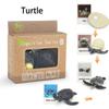 Cycle Figurine Animal Life Cycle Children Toys Simulation Plant Model Animal Growth Cycle Model