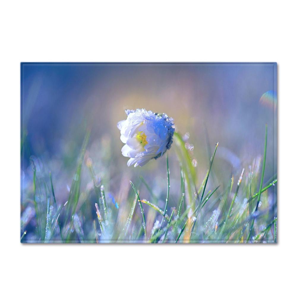 Scenic Carpet Feather Wind Bedroom Floor Mat