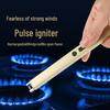Rechargeable Windproof Electric Arc Lighter for Kitchen & Outdoor BBQ.