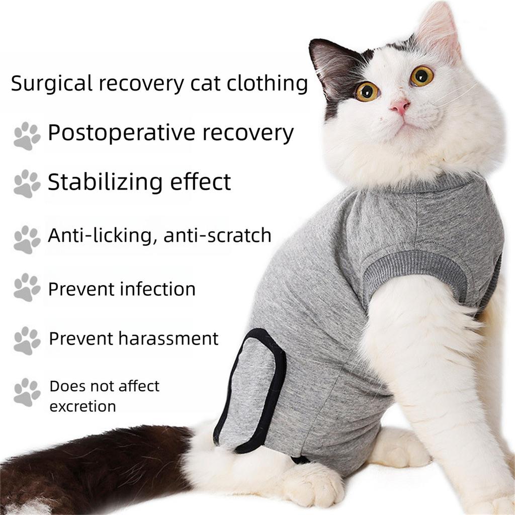 Breathable Cat Spay Recovery Suit Soft Cotton Anti Lick Surgical Garment For Post Surgery Wound Protection