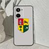 South African Flag For Realme GT7 Pro GT6 C67 C65 C63 C61 C55 C53 C51 C35 C71 C75 10 11 12 13 14 Pro Plus Case