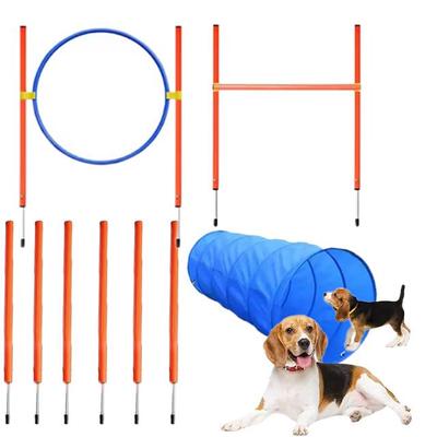 Hunde Agility Trainingsset: Sprünge, Stangen, Hürden, Ringe