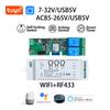2CH Smart Switch Relay Module 7-32V AC85-265V Wireless Wifi Switch Module 433MHZ RF Receiver Timer Work with Alexa Google Home