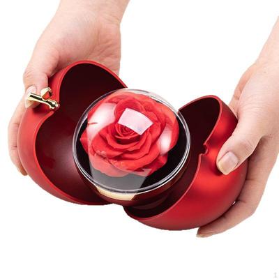 Eple Rose Blomst Gaveeske Smykkeeske Seremoni Bursdag Pakking Valentinsdag for