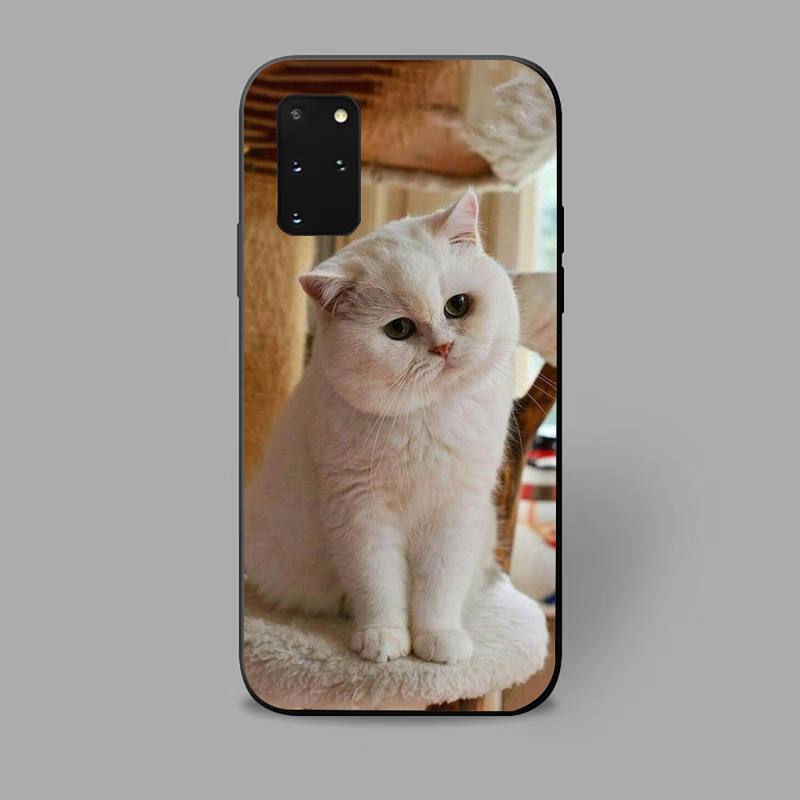 Gray Cat Phone Case For iPhone Samsung Galaxy Redmi Xiaomi Oppo OnePlus Note S A 7 8 9 10 11 12 13 14 20 21 22 23 53 54 Pro Max Plus Ultra TPU Soft