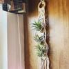 Für Innenwohnzimmer Balkon Makramee Pflanzenhänger Garten Blumentopfhalter Dekor Beigefarbene Baumwollseil Hängepflanzer