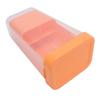Cilantro Storage Container Plastic Transparent Reusable Easy To Clean Multipurpose Asparagus Container for Refrigerator Kitchen