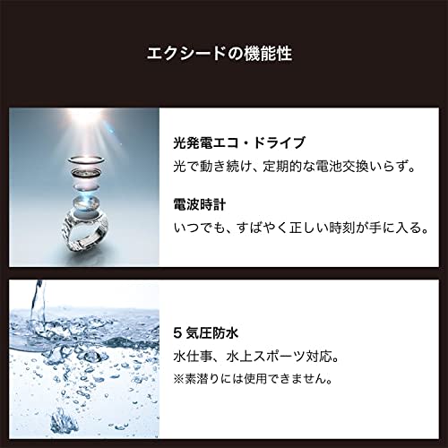 Citizen Exceed EE1014-70F Women's Silver Watch