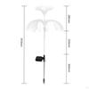 Solar Lights for Outdoor Decor - Illuminate Your Patio And Garden
