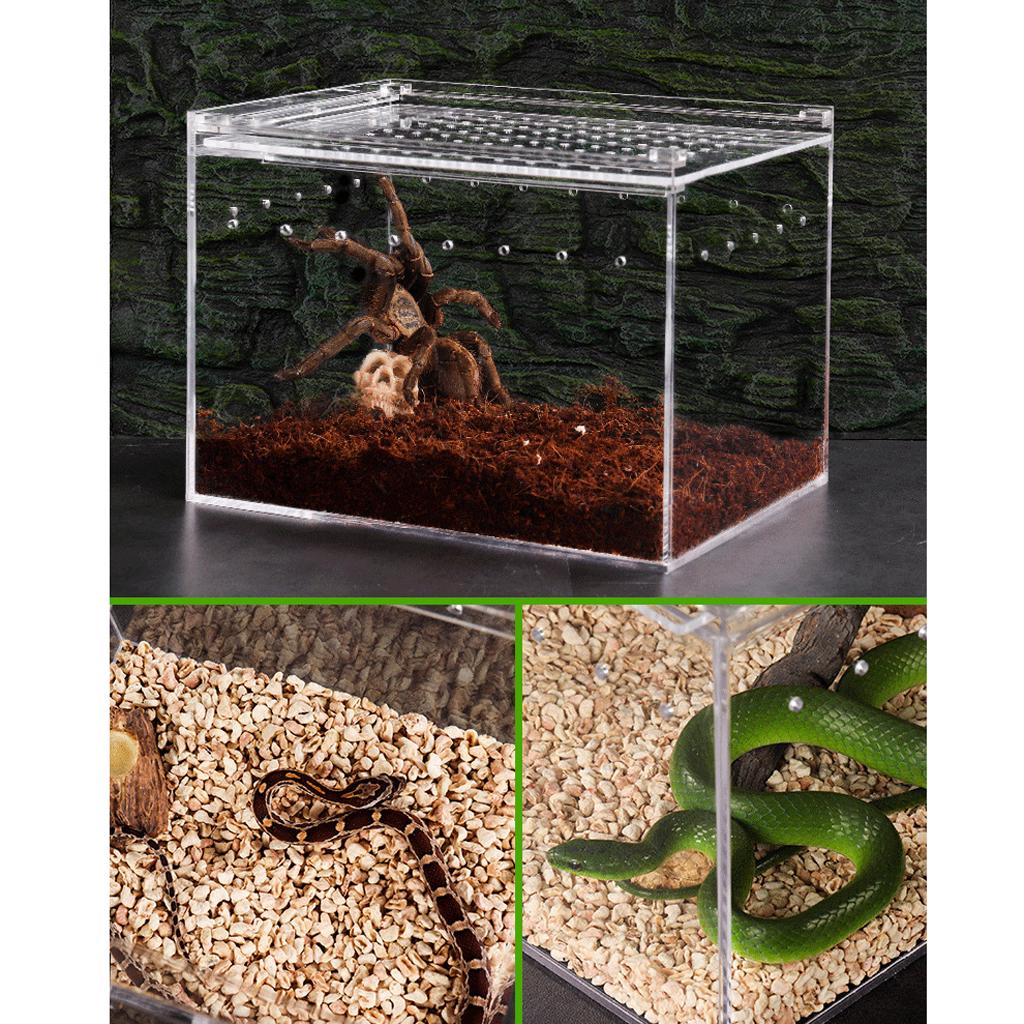 snake breeding equipment