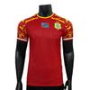2026 World Cup Congo National Team Player Version Jersey Quick-drying Breathable T-shirt Can Be Printed Number Cross-border Special Supply