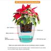 Watering Cotton Rope Self Watering Capillary Wick Easy Installation DIY Vacation Automatic Drip Irrigation System Indoor Garden Plant Care