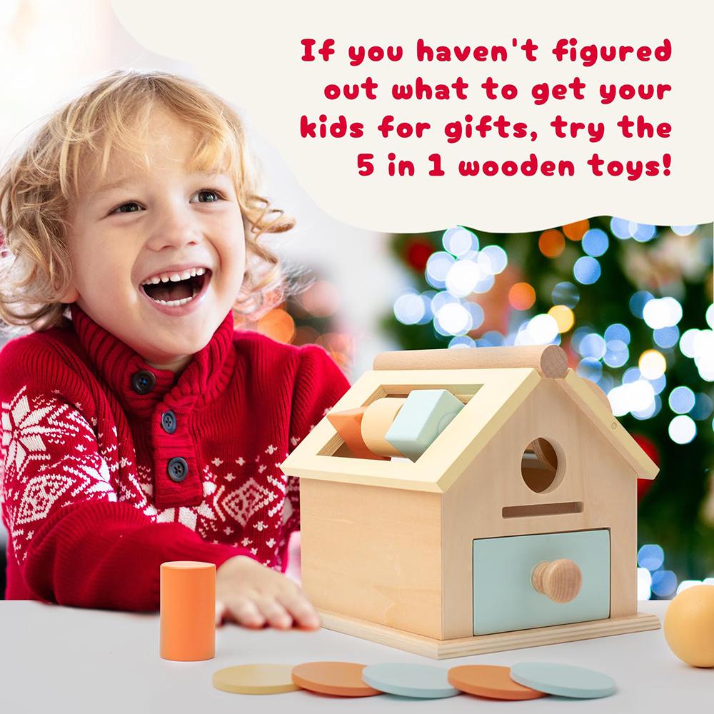 Montessori Wooden Toys 5 In 1 Object Permanence Box Ball Coin Drop Toy House Rainbow Spinning Drum&Shape Sorter for Toddlers