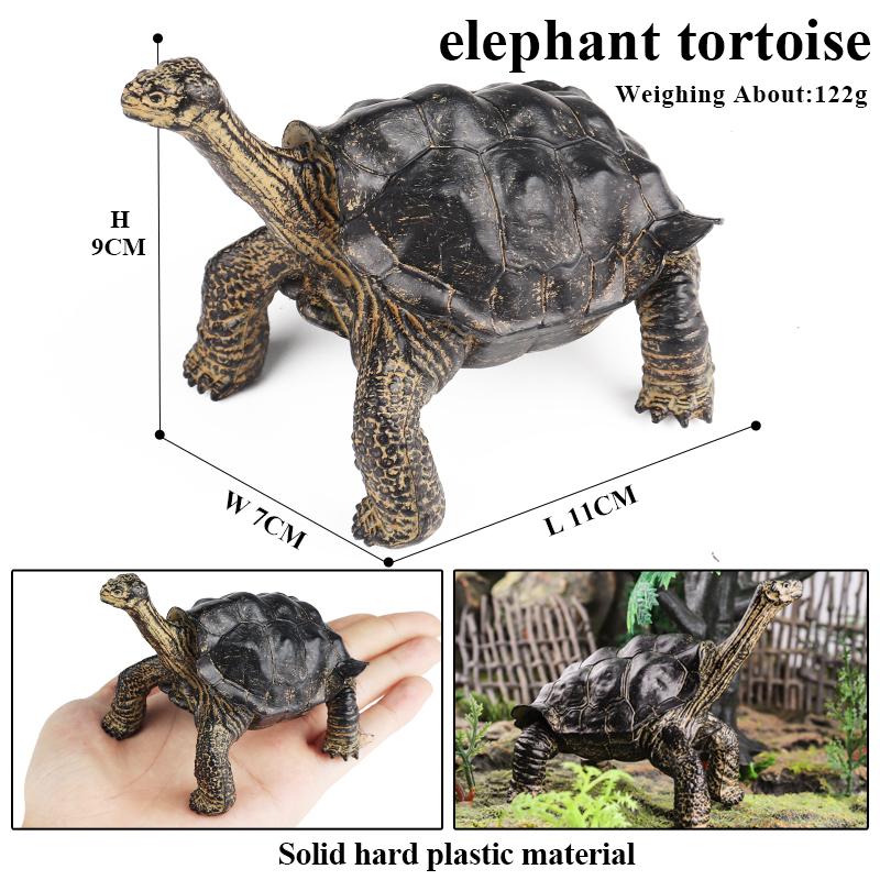 Oenux Sea Life Animals Model Leatherback Tortoise Turtle Growth Cycle Ocean Figurines Action Figures PVC Collection Kid Toy Gift