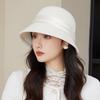 High-end Light Luxury Hepburn Style Autumn and Winter French Warm Fashion Hat Women's Wool Basin Hat Elegant Retro Top Hat