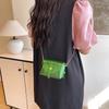 Fashion Trend Summer Popular Transparent Niche Mini Chain Shoulder Messenger Bag Exquisite Only Beautiful Women Bag