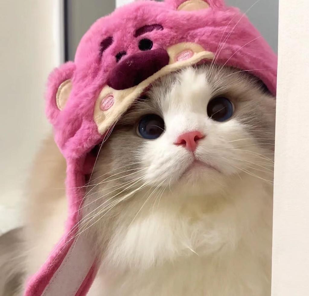 Cat Cute Cartoon Decorative Funny Cat Headwear Cat Dog Hat Headgear Pet Cute Funny Artifact Warm Plush Pet Hat Pet Photo Props