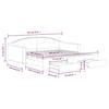 VidaXL Daybed with Trundle and Drawers Light Grey 100x200 Cm Fabric 3197571
