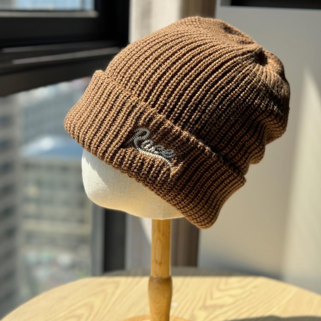 Autumn and Winter Korean Version Street Versatile Three-dimensional Letter Embroidery Warm Knitted Hat Ear Protection Cold Hat for Men
