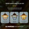 Cuoshan CL304 Retro Rechargeable Camping Lantern