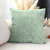 Coussin velours 40 x 40 cm Vert celadon Velvet