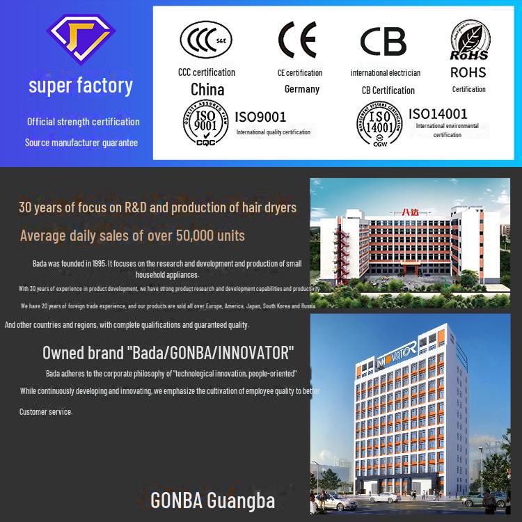 High-Power Quick-Drying Hair Dryer - European & Japanese Standards