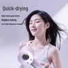 High-Speed Ionic Hair Dryer: Silent, High-Power, Hot & Cold Air, Hair Protection