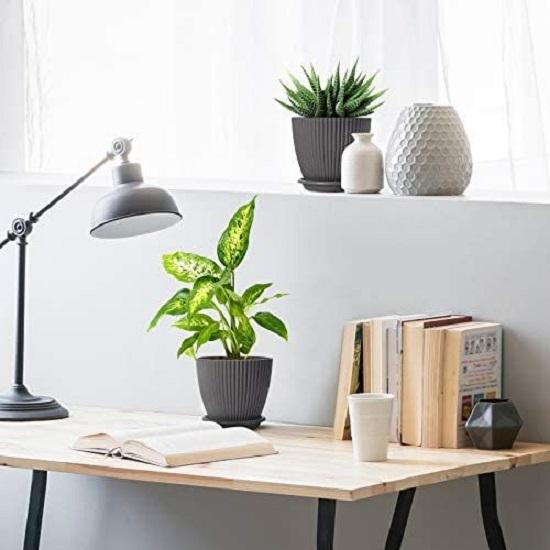 Plastic Round Flower Pots with Tray for Home Planters, Terrace, Garden Etc | Pack of 05 | Dark Grey | Size 6.5 Inch | for Home Indoor & Outdoor