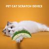Durian Shape Cats Rubbing Toys with Cat Mint Rubs Face Brush Tooth Cleaning Hair Remover Brush Interesting Pet Grooming Supplies
